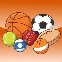 Activity Image