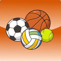 Activity Image